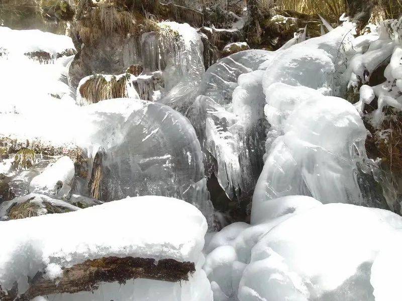 报全绵阳都在下雪哇好大