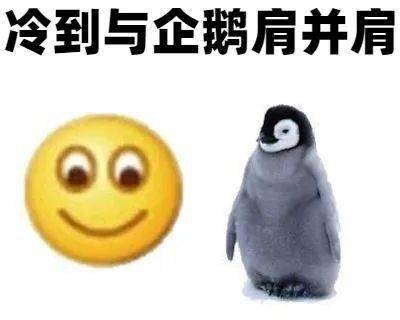 今天冷到想哭.