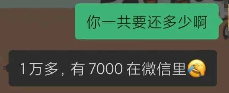 南南发给了我她的微信和支付宝余额,目前一共还有70000多块钱: 10000