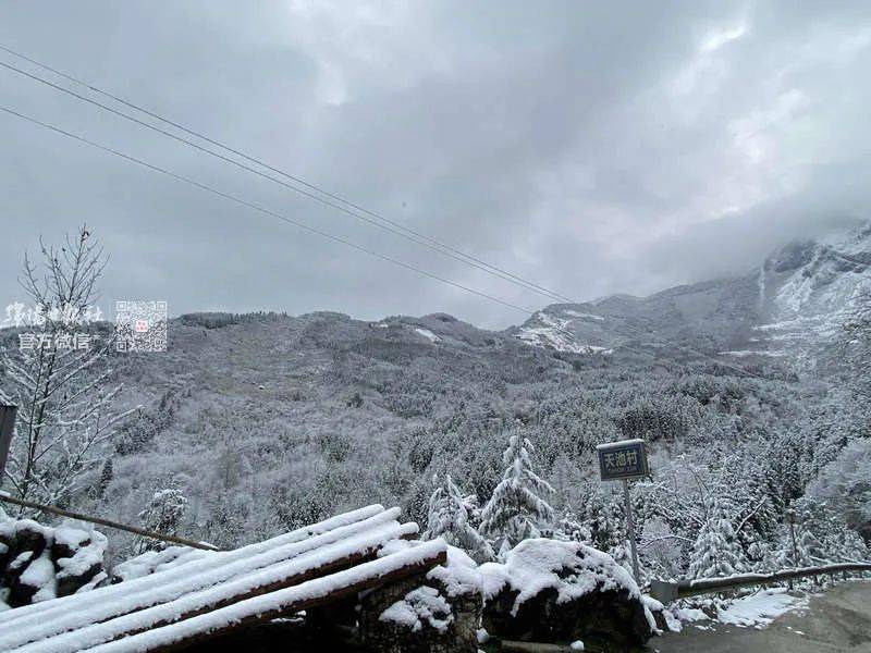 报全绵阳都在下雪哇好大