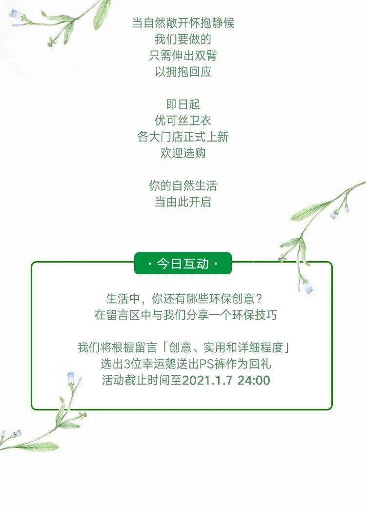 衣仙什么成语