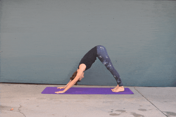 久坐不动,腰酸背痛?这套瑜伽序列缓解腰痛很有效!