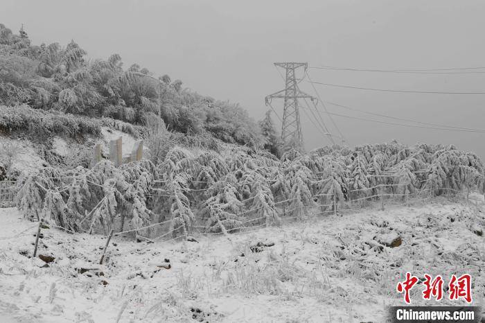 重庆南天湖银装素裹雪景美如画