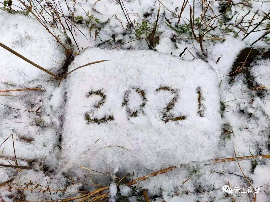 2021年南部第一场雪真的来啦!