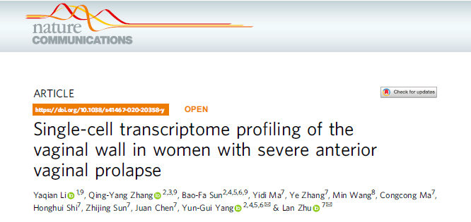 重磅协和朱兰团队绘制女性阴道前壁脱垂细胞图谱