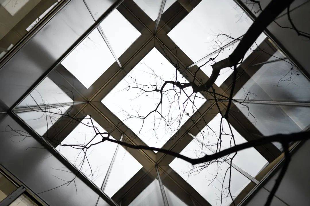 苏州图书馆入驻这座2600㎡售楼处将光线与建筑融合到极致