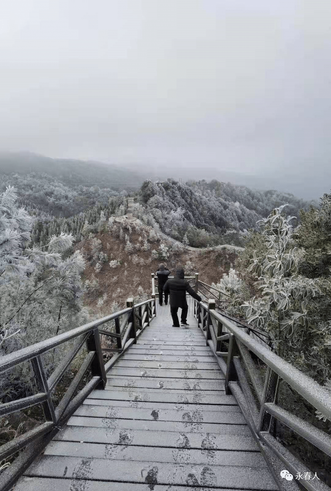 冷永春德化等地下雪了