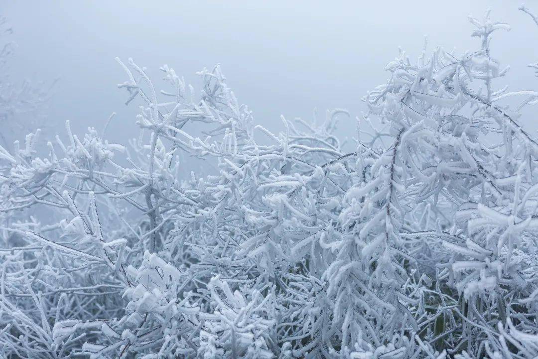 武夷·雪景||瑞雪兆丰年,2021第一场雪等你来