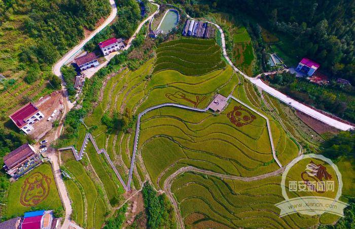 秦岭佛坪国宝旅游度假区获评“省级旅游度假区”