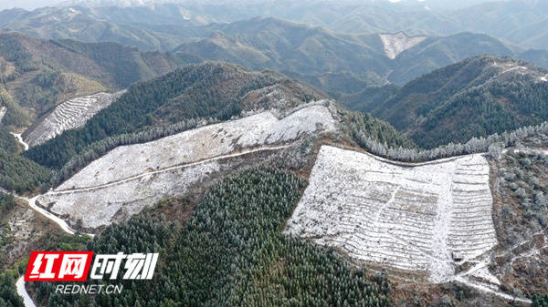 新田：山区雪景美如画