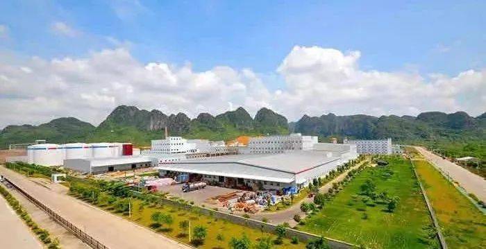 2020年崇左gdp_崇左太平古城图片(2)