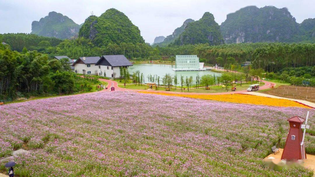 2021年元旦小长假期间,武鸣区各旅游景区,景点在做好常态化疫情防控