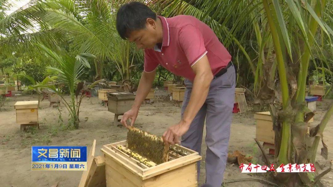 文昌文城镇经济总量_海南文昌文城镇地图