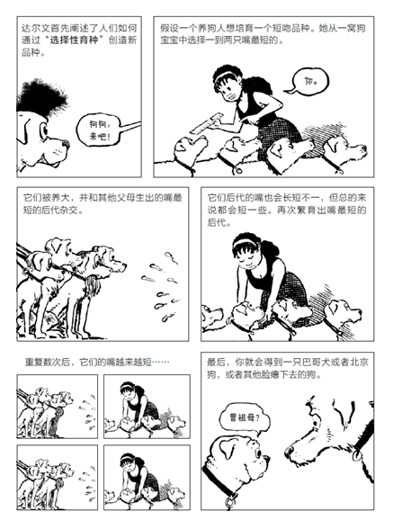 3166f74124da444b8317dd577fe4c53f.png
