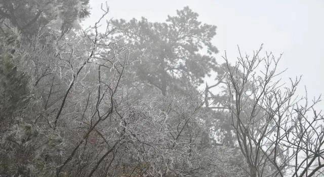 下雪了 图片来源于@梧桐山风景区 图片来源于@南方  清远连州市三水