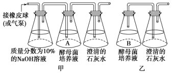ee837ea4a41d4db99edd1027112993c6.png