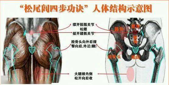 松尾闾的四步功诀_手机搜狐网