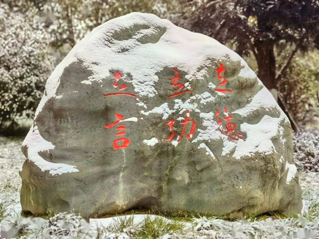 六盘水师范学院美不胜收的雪景大片来了!