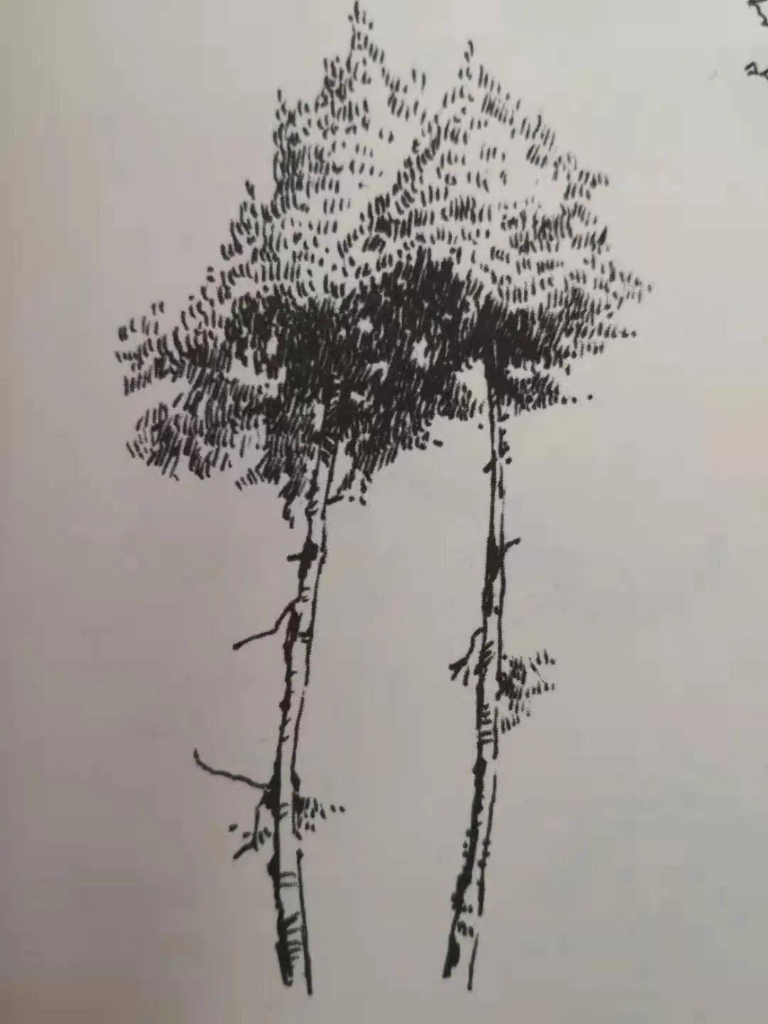 该校本课程以古民居风景速写为主,从基础的线条,透视,单体,成品临摹