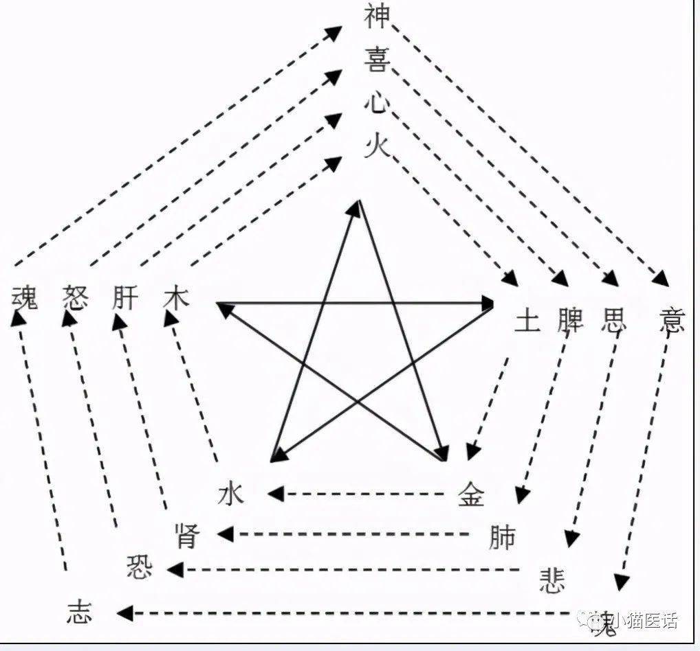 五神分属五脏,与五脏的关系为心藏神,肝藏魂,肺藏魄,脾藏意,肾藏志.