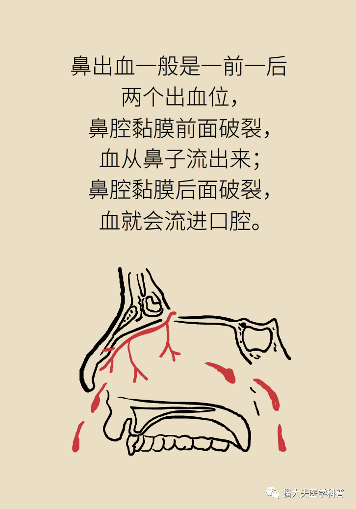 5504847b6dbb432c9f8b6921d51ece0d.png