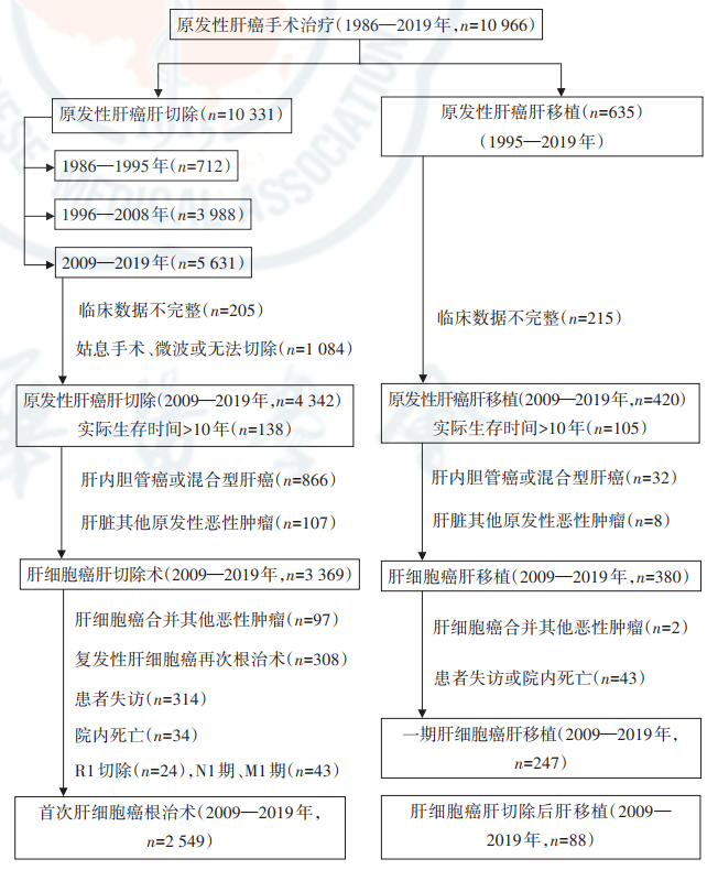 夏永祥原发性肝癌10966例外科治疗分析