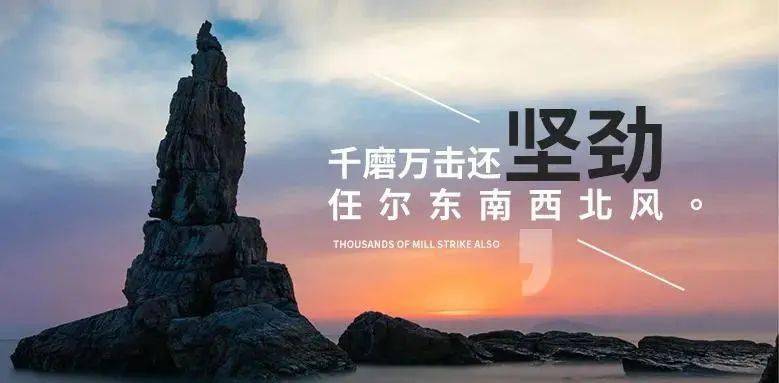 每日一句正能量人生感悟