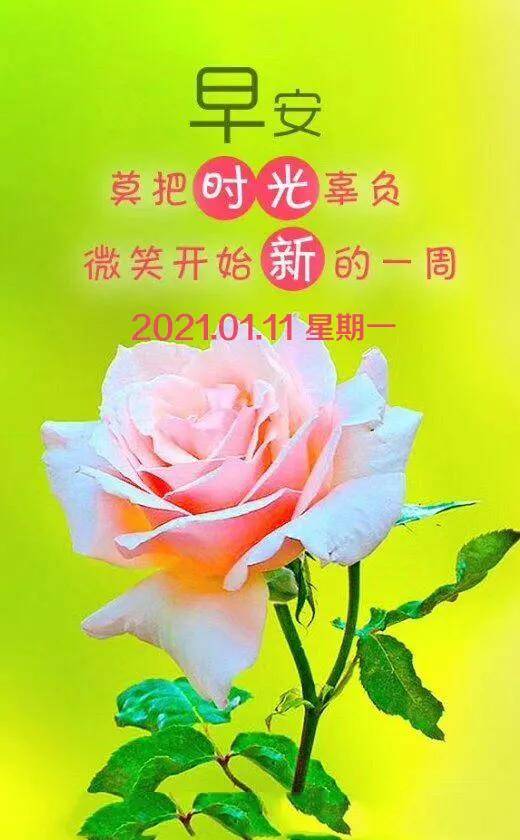 总会有难熬的日子,但你会感谢今日努力的自己,早安