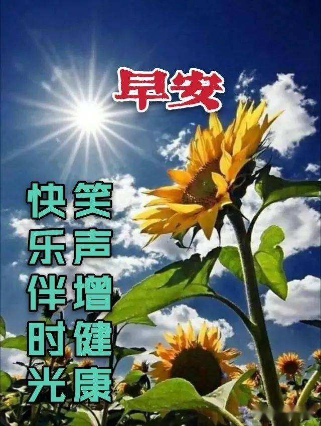 2021早上好问候语超唯美的带字表情图片,早上好问候祝福语