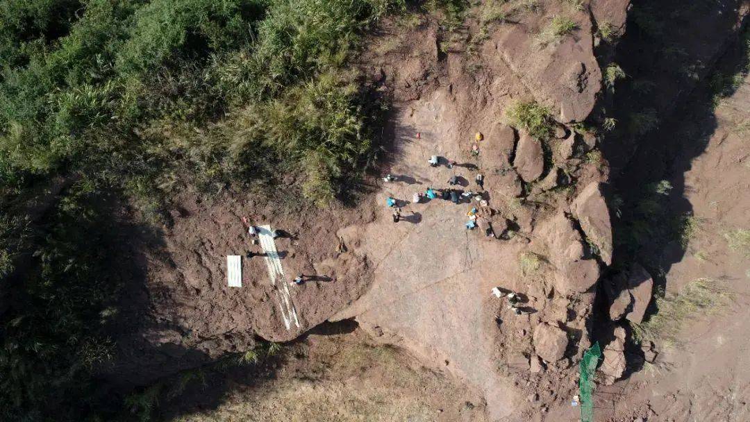 化石|真“龙岩”！福建发现恐龙足迹群，距今8000万年！