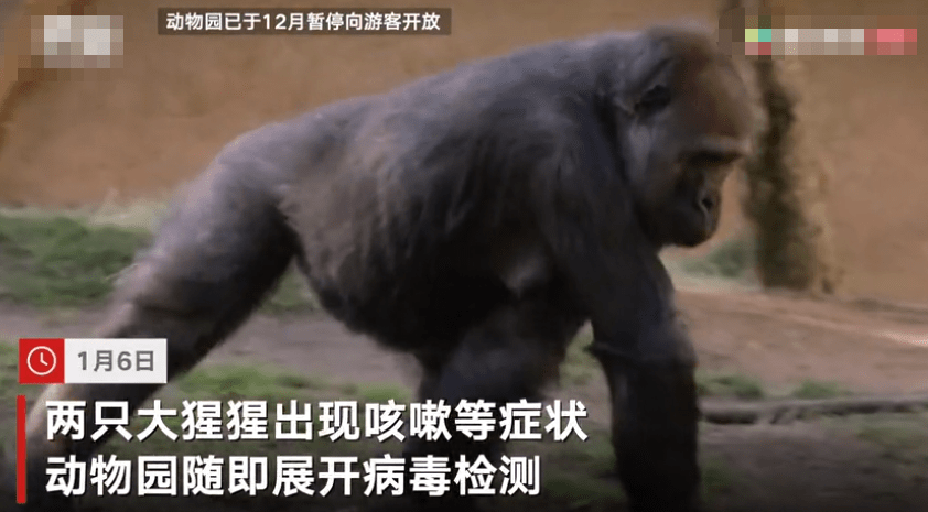 c9b0205ef90e491abf6ec85ab7af0e71.png