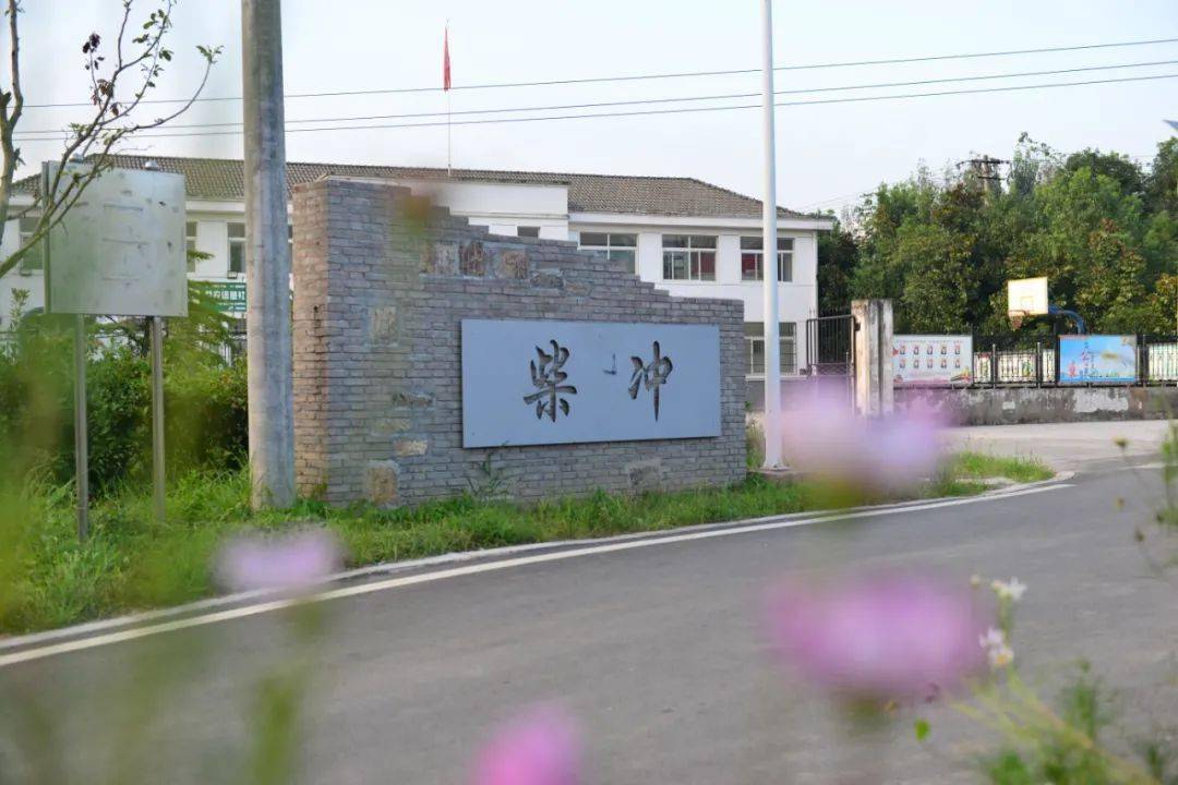 棒!庐阳区又有3个村被认定为省级美丽乡村示范村