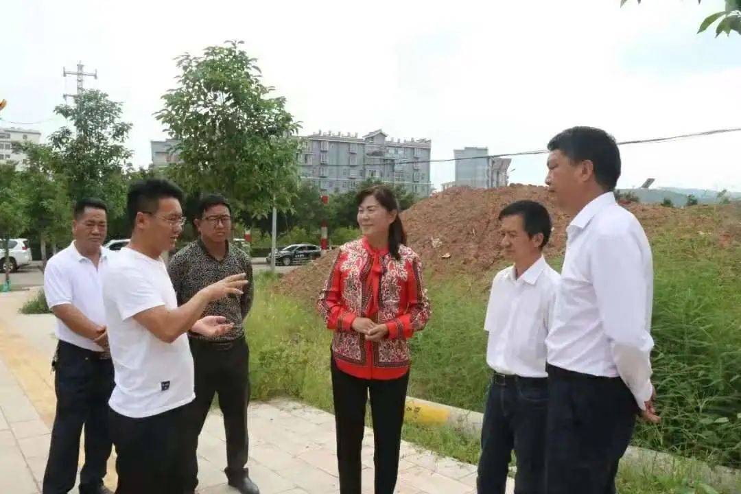 楚雄政协2020年履职"答卷"——县市篇(一)