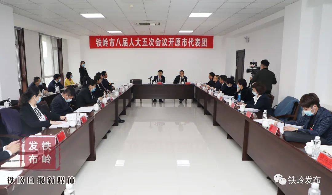 隋显利参加开原市代表团审议_手机搜狐网