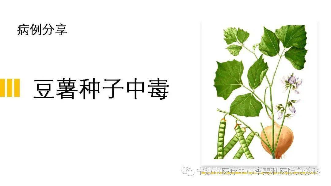 这个毛豆不一般一例豆薯种子中毒案例分享