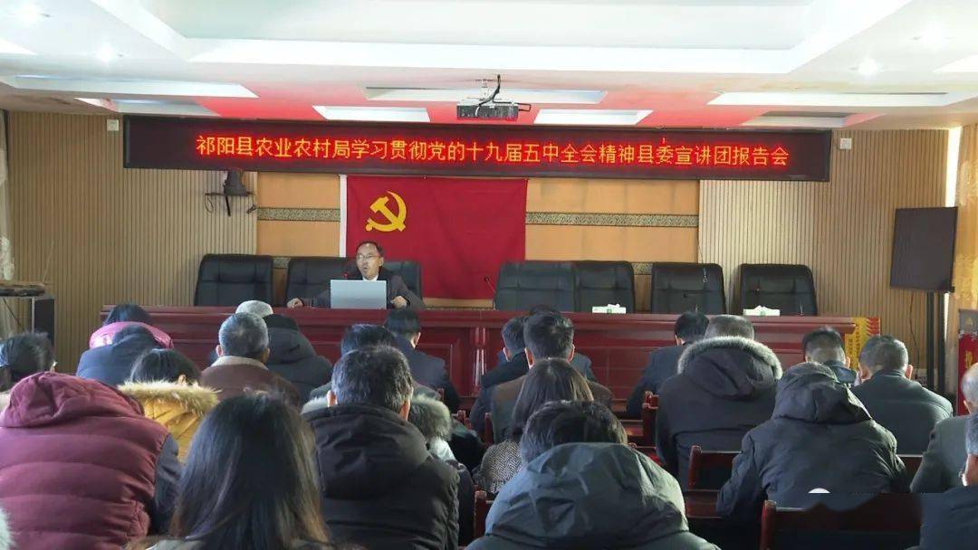 十九届五中全会农村人口