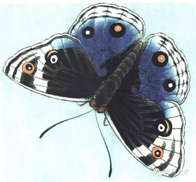 f565bbd1daf64b258cfebee4cc7c2d0b.jpeg