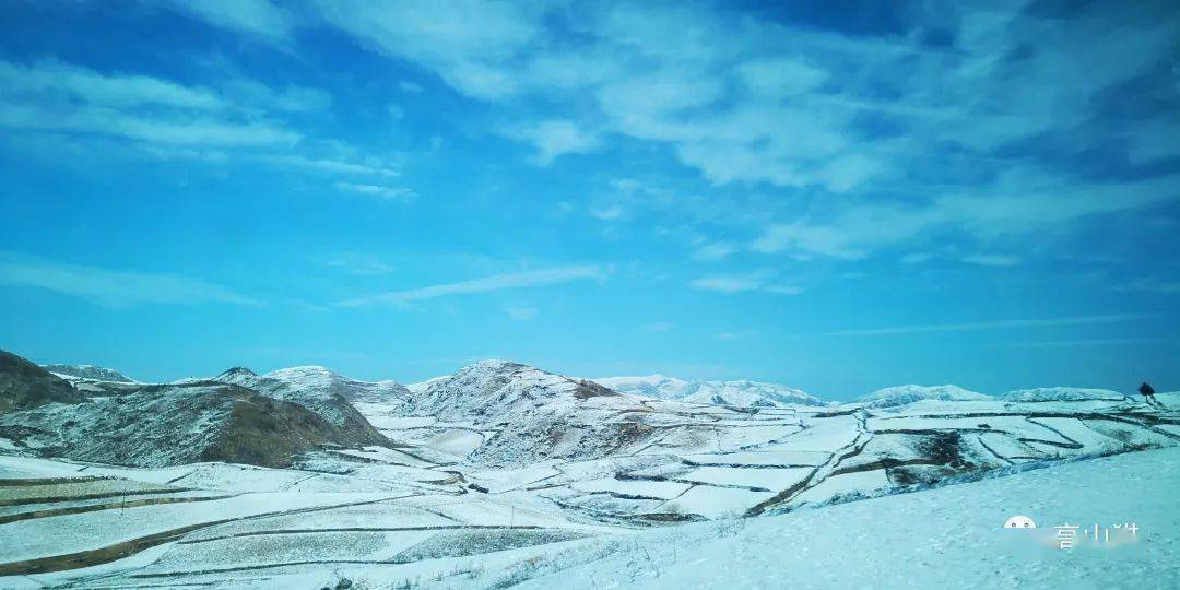 【随拍分享】高山猫-池坝草坪雪景随拍