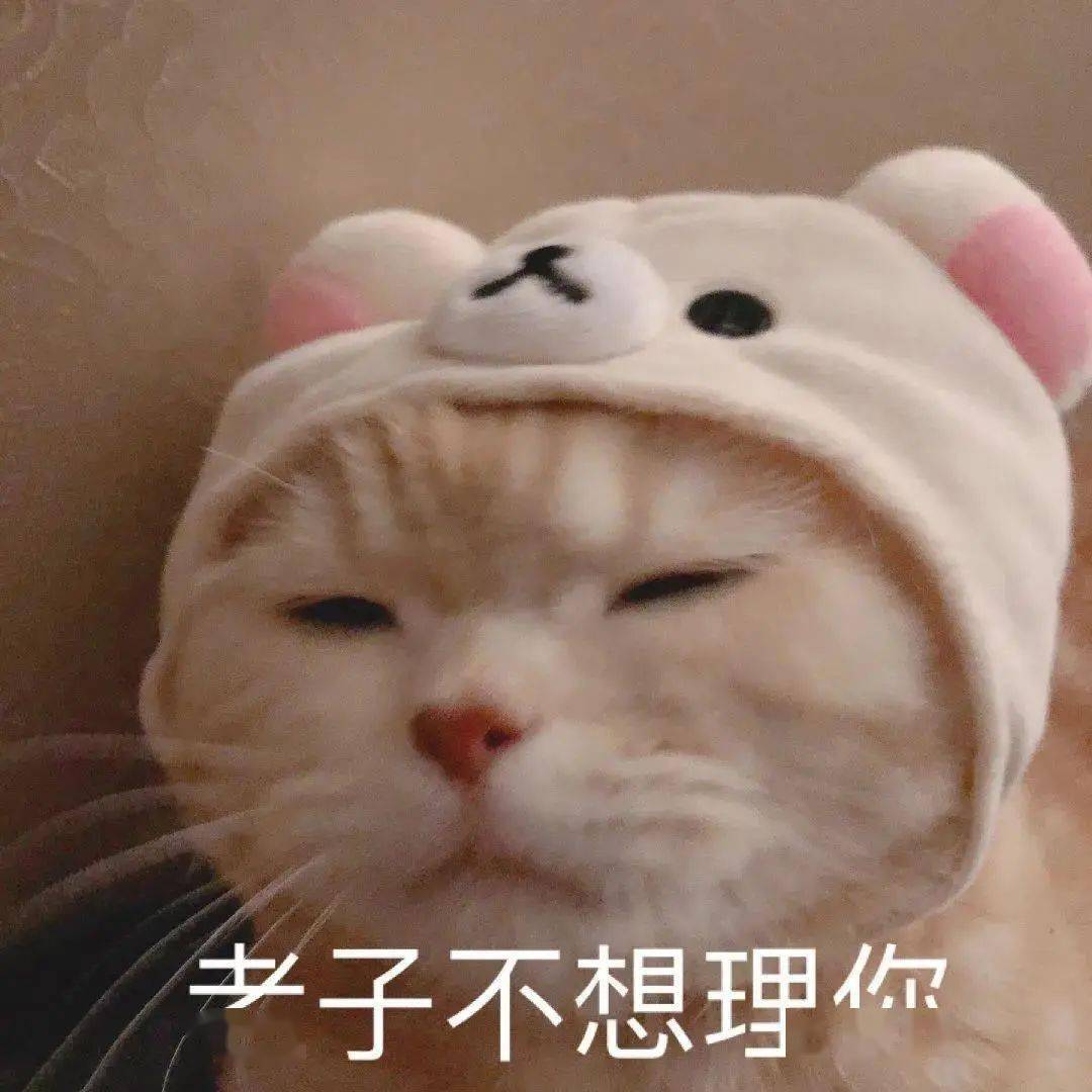 【沙雕猫表情包】橘猫沙梨表情包