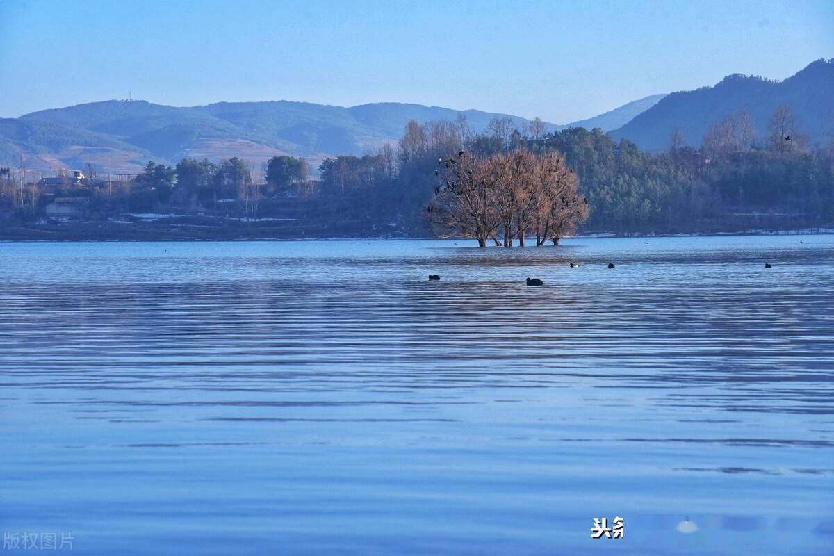 云南省会泽有多少人口2021年_会泽2021年雪景图片