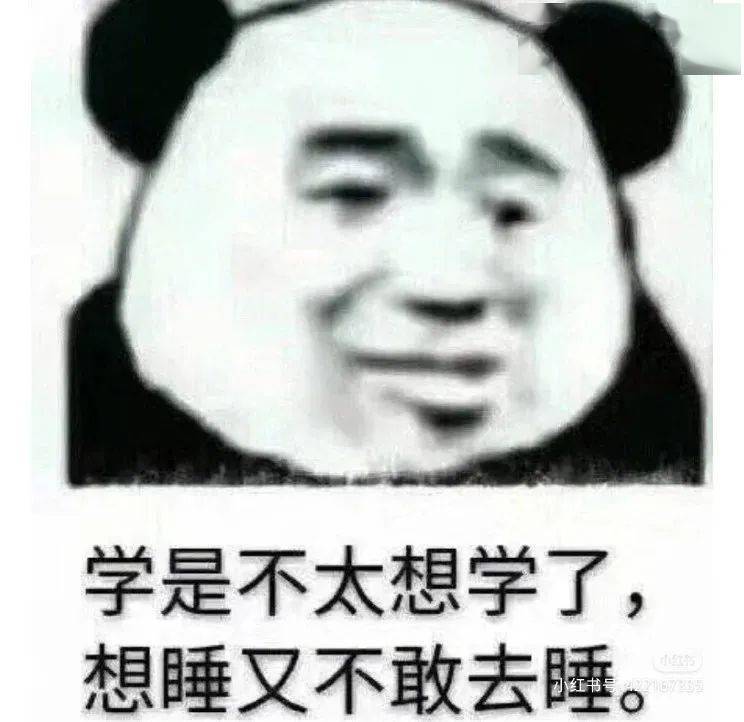 3, 学会高效背书