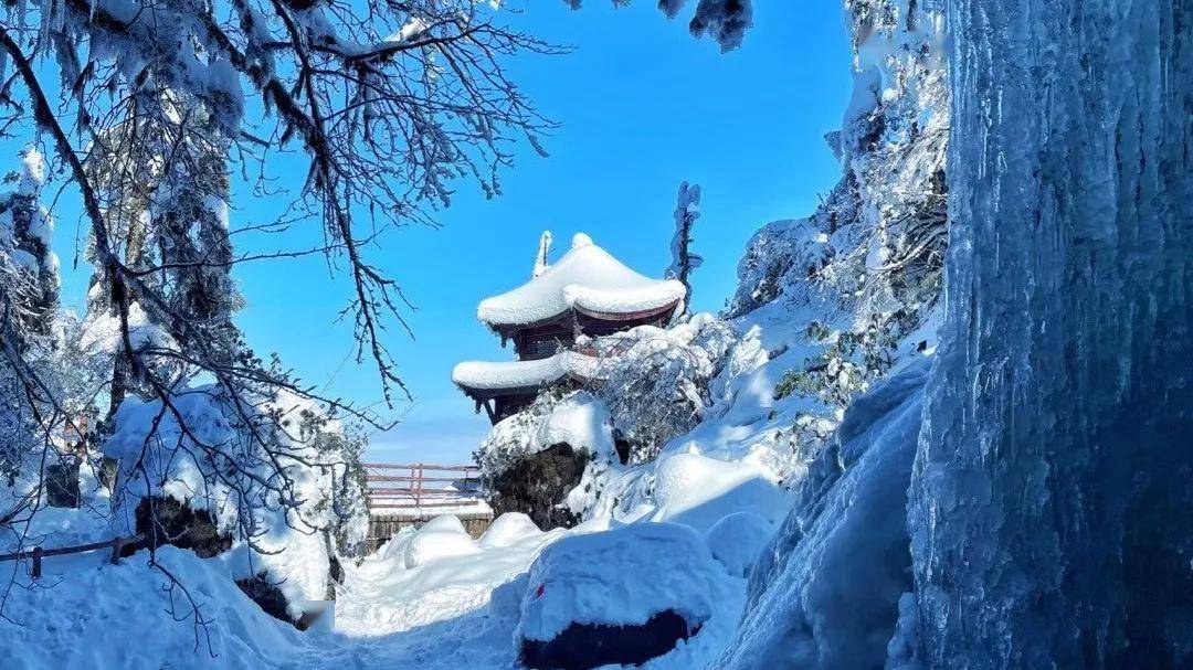 图片由曹芳提供这样纯洁美好的雪景是冬日的专属更是瓦屋山宝藏般存在