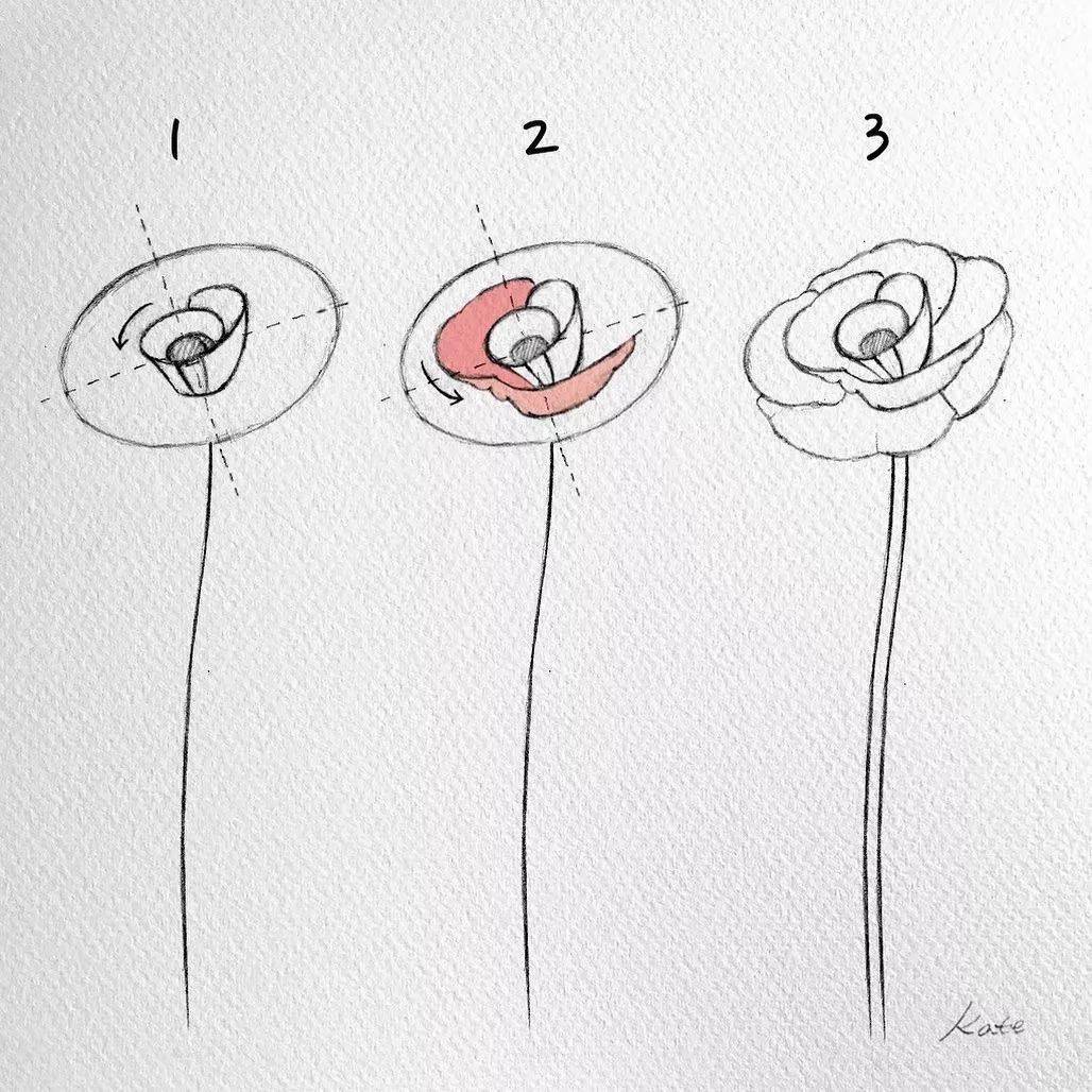 画一朵花 来自搜狐网