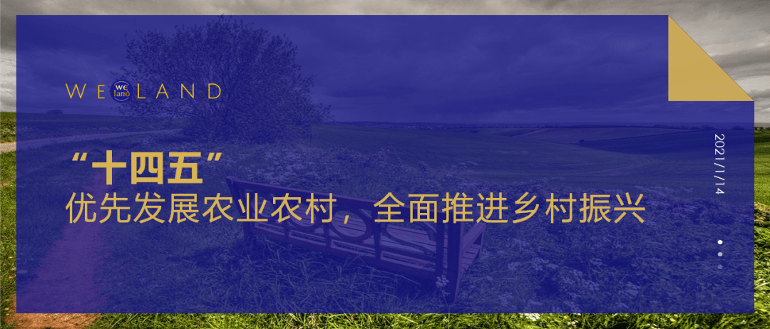 十四五优先发展农业农村全面推进乡村振兴