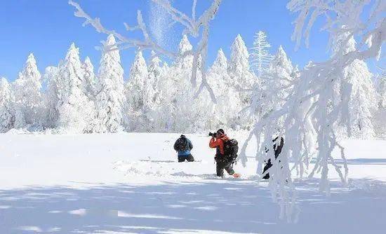 冰雪微笑曲线| 雪漫老里克湖,马拉爬犁载百年民俗 冰雪微笑曲线| 雪漫老里克湖,马拉爬犁载百年民俗
