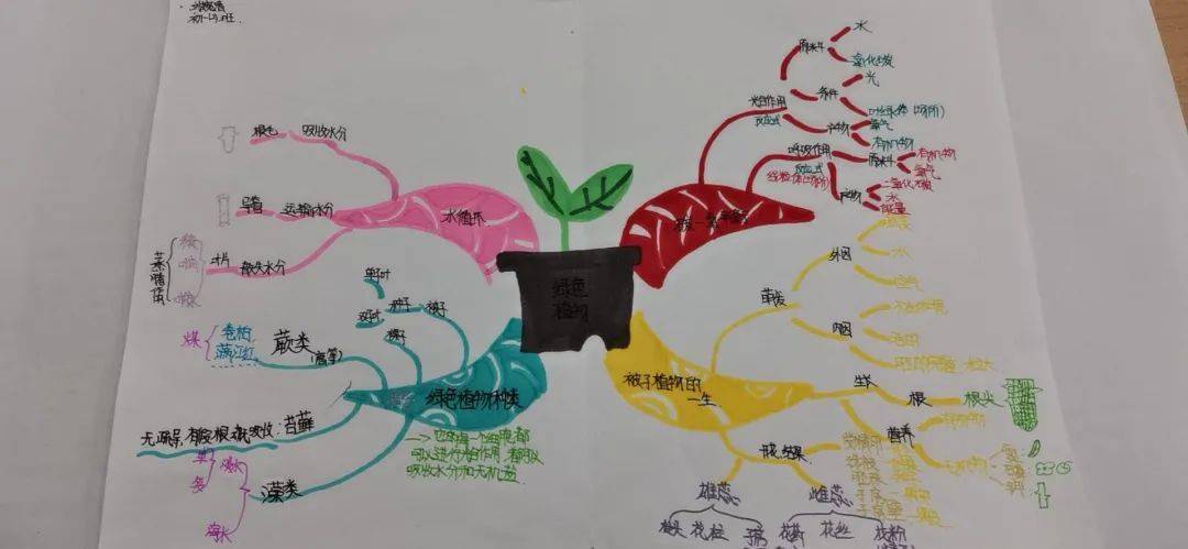 【中学部】形成于思 绘聚于图——初一年级生物学科思维导图系列活动