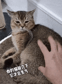 61c223970f4f4fe1999e6eb2a0b107d0.gif