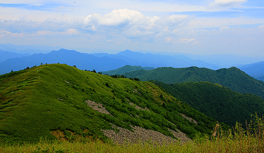 秦岭山脉中段主脊秦岭东梁