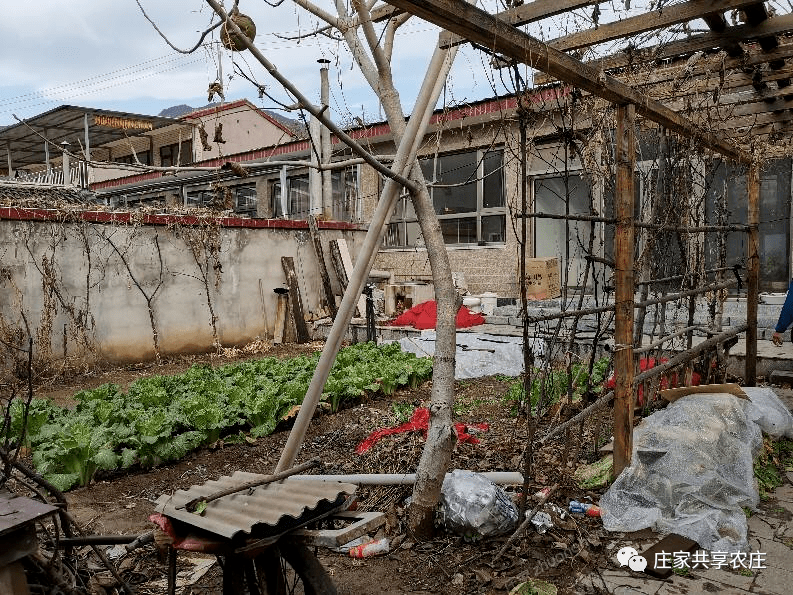 昌平优质小院私家小院已成为一种生活品味的展现