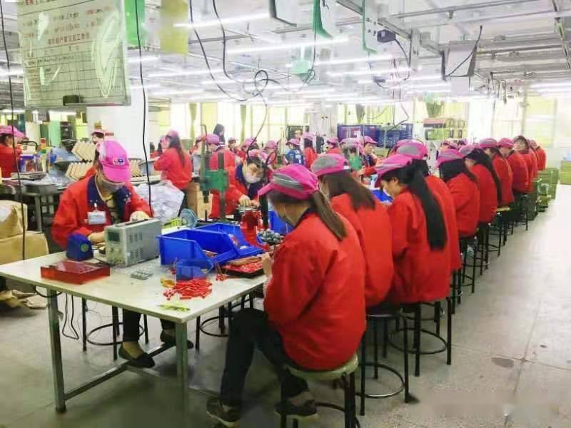 澄海就业人口_澄海狮头鹅图片(3)